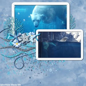 Polar Bear