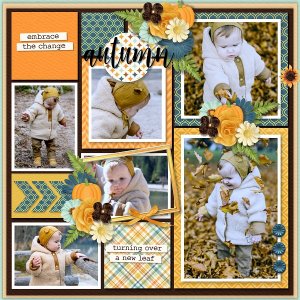 T. Days in pocket Grab bag vol 1