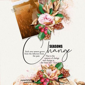 Seasons Change