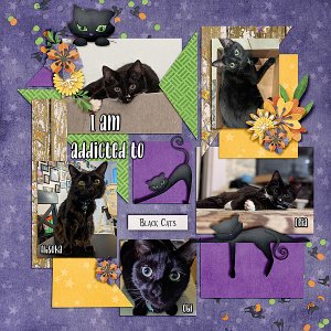 addicted-to-blk-cats