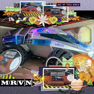 M R V N