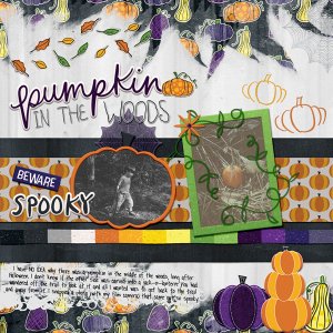 pumpkin in the woods