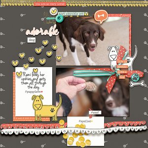 Adorable Dog