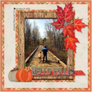 Hello Fall DSD Challenge October 2021