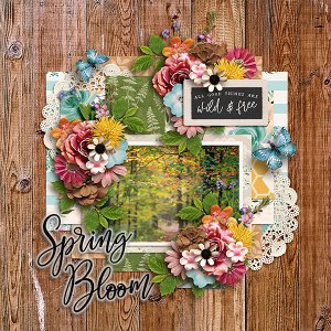 Spring Bloom