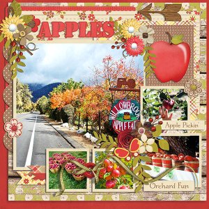 apples