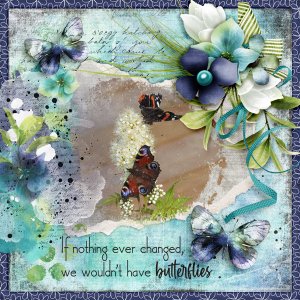Butterflies13