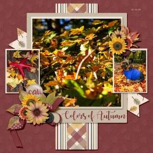 Colors of Autumn