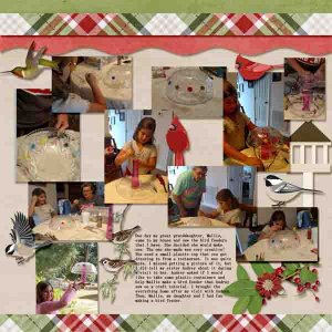 Bird feeder craft