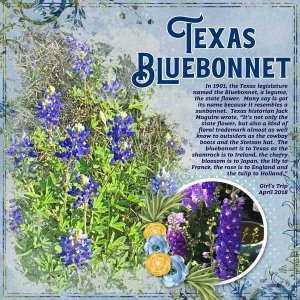 _EnhanceYourEdges_2018-04_TX-flowers