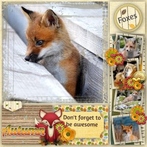 Foxes