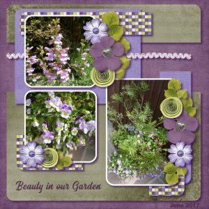 Beauty in our Garden