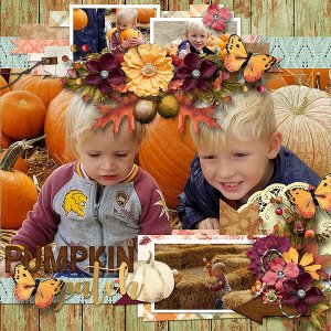 Pumpkin Patch