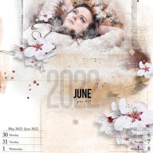 Calendar 2022