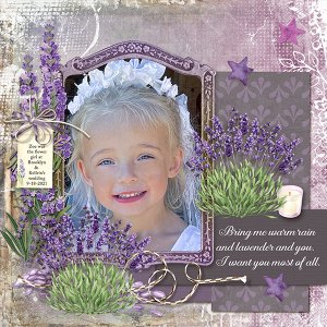 Warm Rain Lavender And You