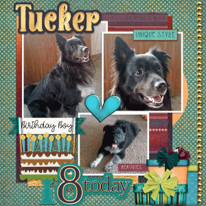 Happy Birthday Tucker!