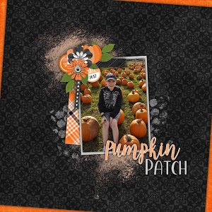 Pumpkin Patch 2017
