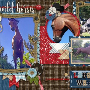 Wild Horses