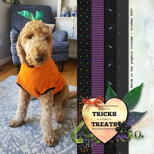 No Tricks Just Treats Oct 2021 Use It All Challenge