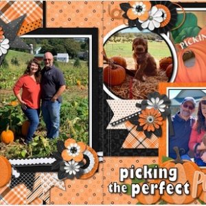 Picking the perfect Pumpkin
