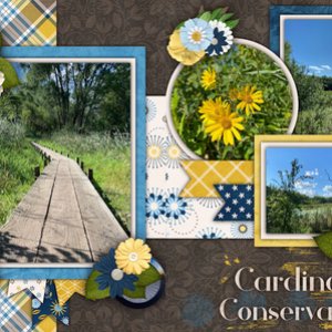 Cardinal Creek Conservation Area