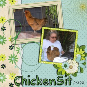 ChickenSit