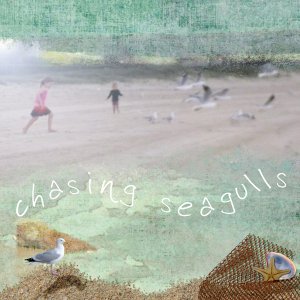 Chasing Seagulls