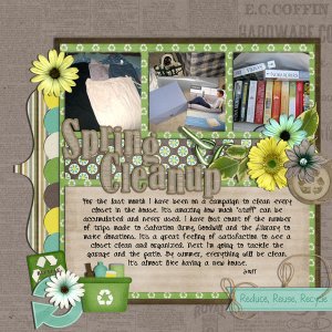spring cleanup