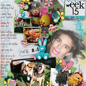 2012 - Week 15