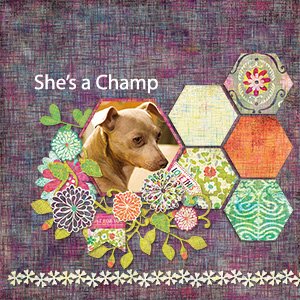 She's a Champ