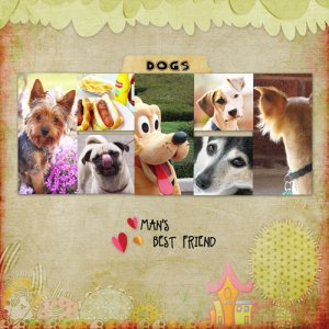 Dogs