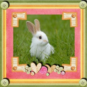 rabbit_