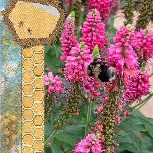 To Bee or Not to Bee Card