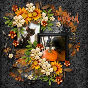 pumpkin cats
