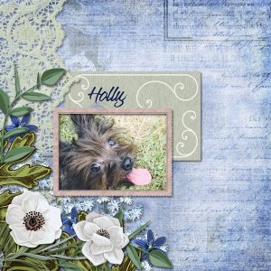 Holly
