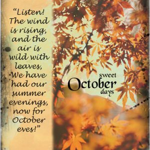 Sweet October Days