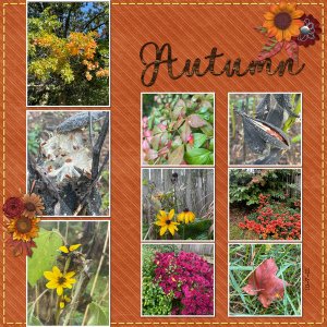 Autumn 2021: October Connie Prince Life Chronicled Challenge