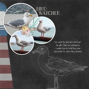 Gull-Chalk
