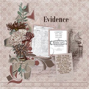 Evidence