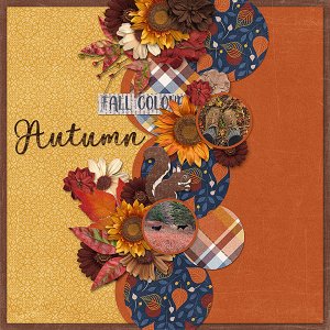 fall-walk
