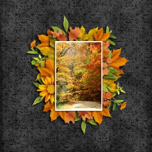 JoDaviess County Fall
