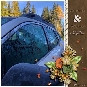 AUTUMN + WINTER