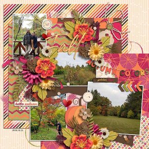 Autumn colors