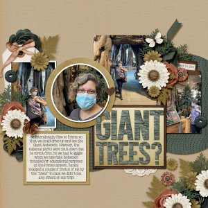 Giant Trees?