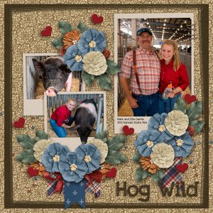 Hog Wild