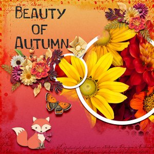 Beauty of Autumn