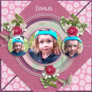 Dahlia