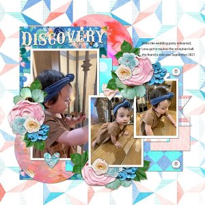 Discovery
