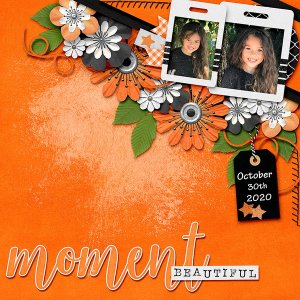 Beautiful Moments