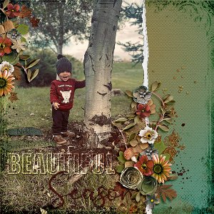 Beauty of Autumn